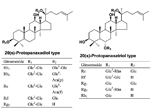 Structures-of-ginsenosides-from-Panax-ginseng-Glc-glucose-Rha-rhamnose-Araf